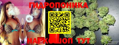 трава Шелехов
