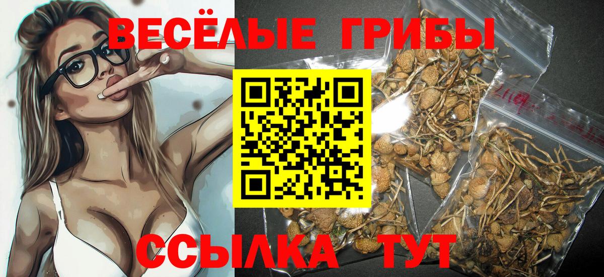 Псилоцибиновые грибы MAGIC MUSHROOMS  Вход с VPN  Архангельск 
